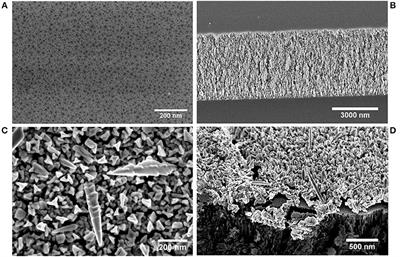 One Spot—Two Sensors: Porous Silicon Interferometers in Combination With Gold Nanostructures Showing Localized Surface Plasmon Resonance